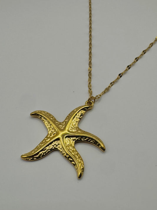 Estrella de Mar