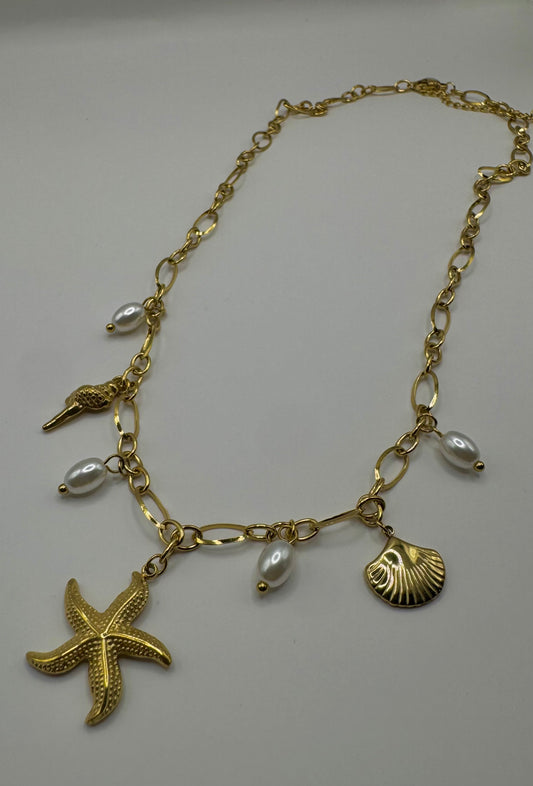 Estrella Caracoles y Perlas